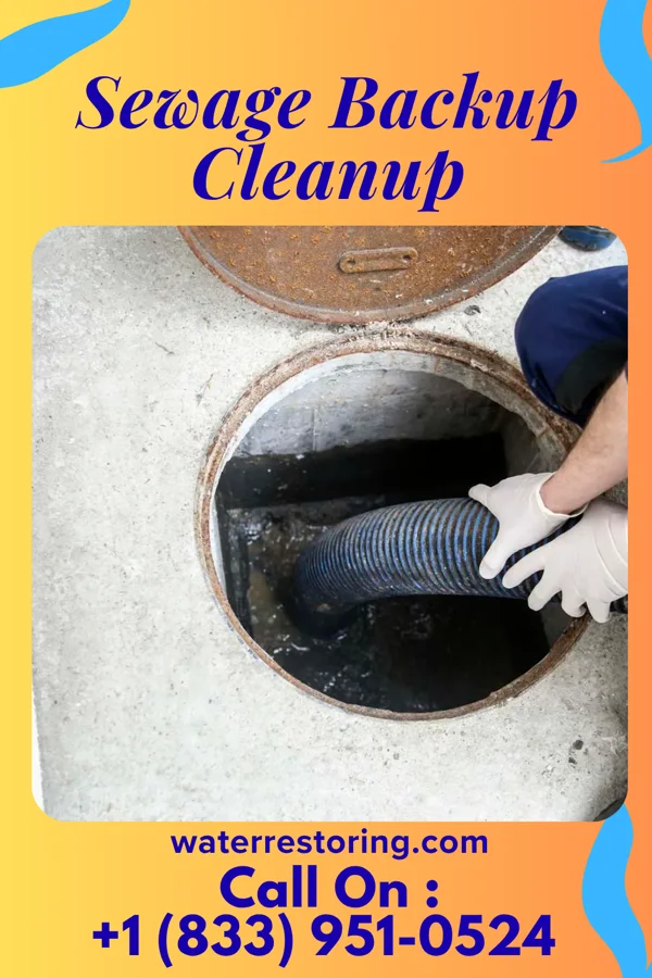 Sewage Backup Cleanup in Hiram, GA